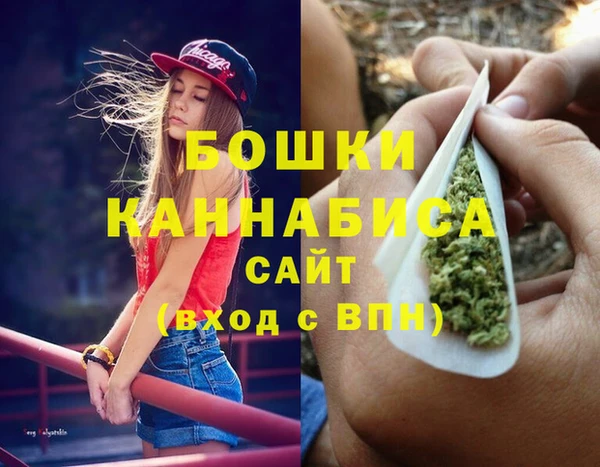винт Гусь-Хрустальный