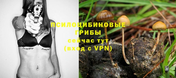 спайс Гусев
