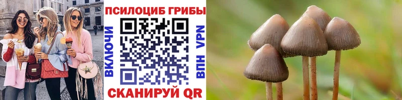 Галлюциногенные грибы GOLDEN TEACHER  Купить где  Кодинск 