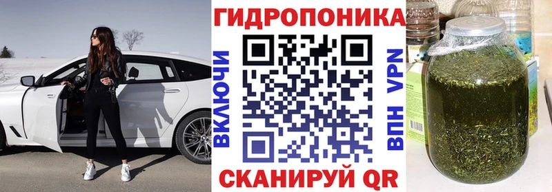 Конопля сатива  Купить где  Кодинск 